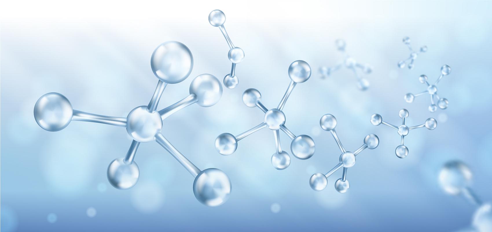 Stem Cell